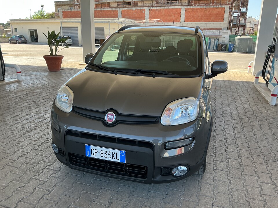 Fiat Panda Elettrica / Benzina