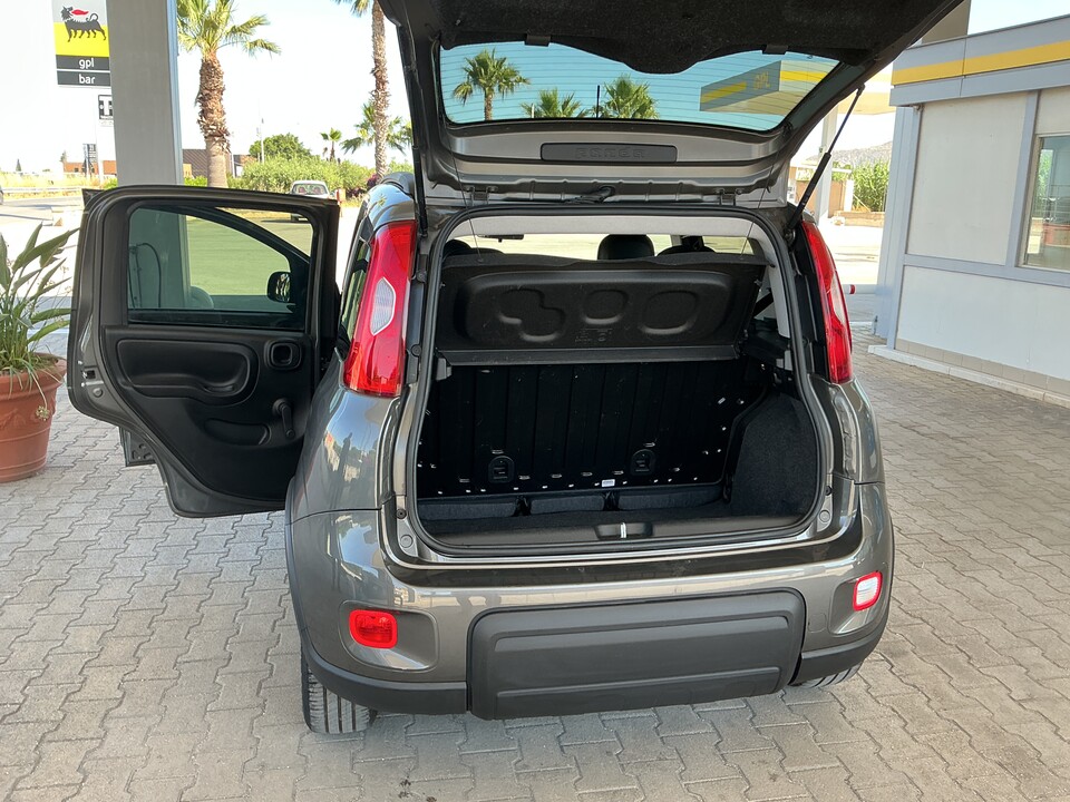Fiat Panda Elettrica / Benzina
