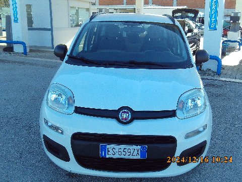 Fiat New Panda Benzina