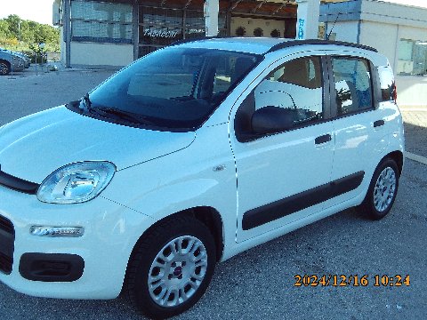 Fiat New Panda Benzina