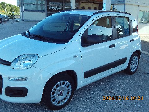 Fiat New Panda Benzina