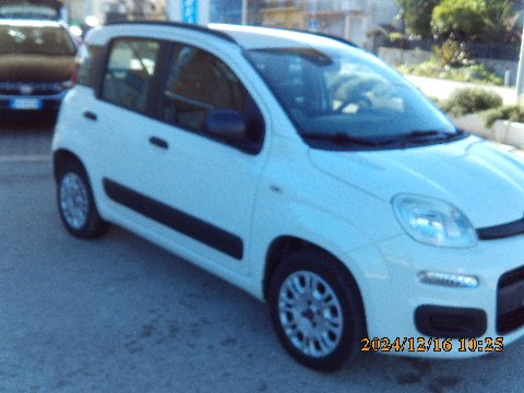 Fiat New Panda Benzina