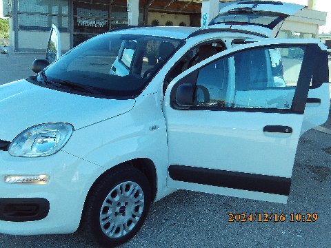 Fiat New Panda Benzina