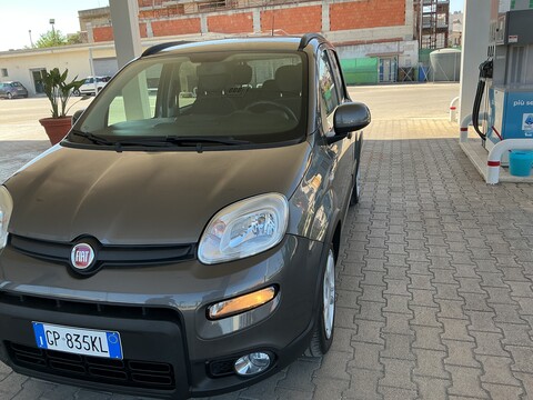 Fiat Panda Elettrica / Benzina