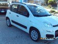 Fiat New Panda Benzina