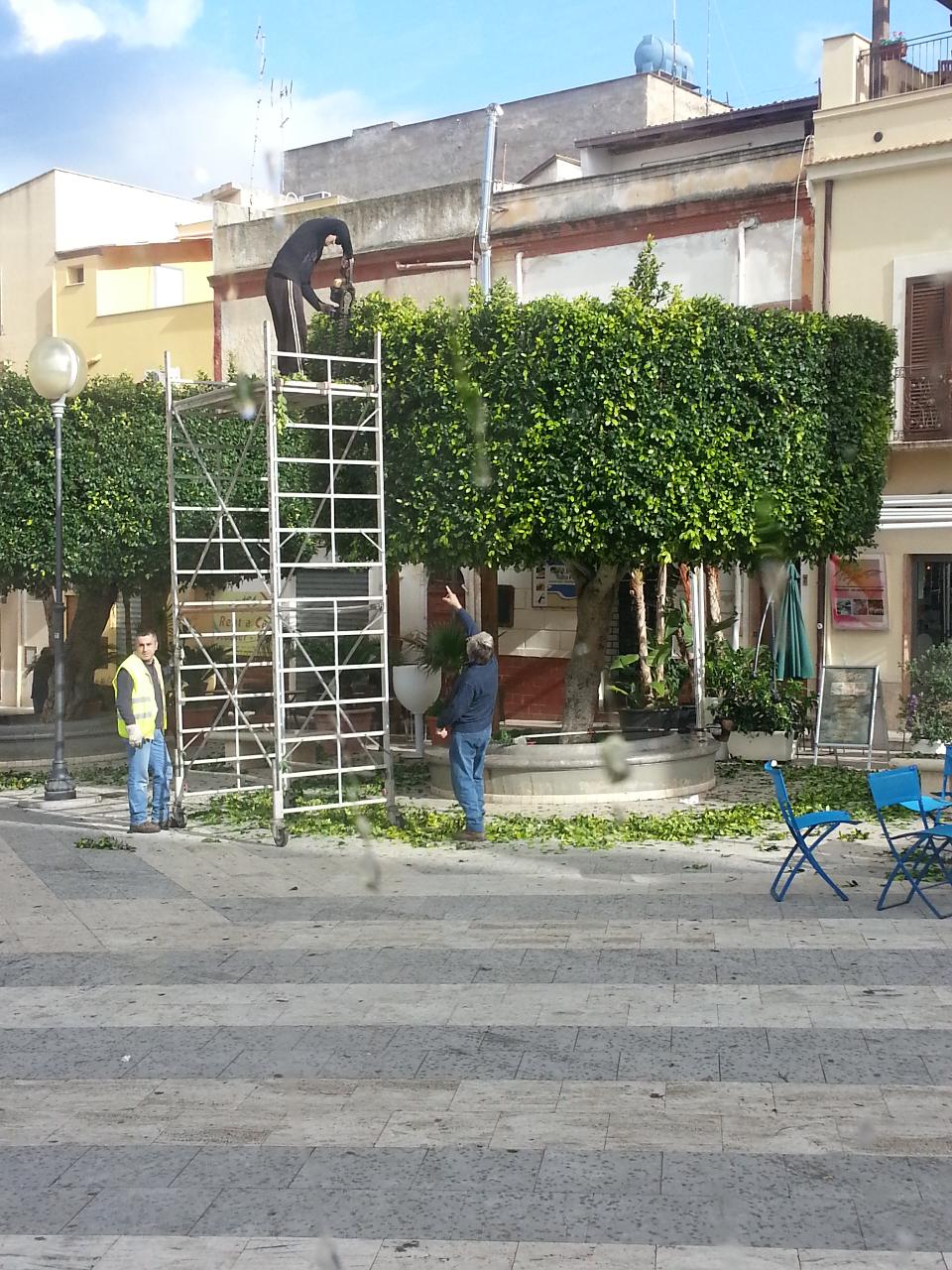 LAVORI DI POTATURA