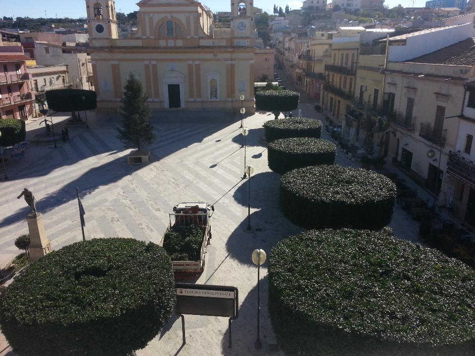 LAVORI DI POTATURA