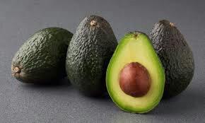 AVOCADO HASS IN VASO INNESTATO ALBERO TROPICALE VASO CONICO 16 - 18