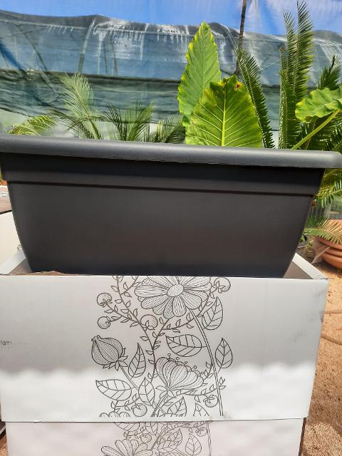 VASO GIUNONE TELCOM GIUNONE