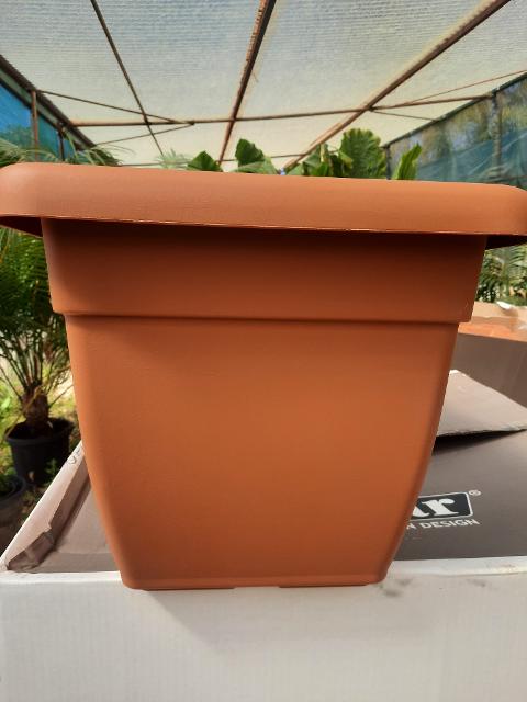 VASO GIUNONE TELCOM GIUNONE