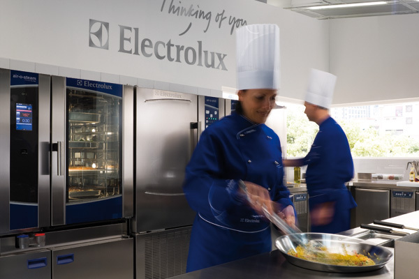 Forni e abbattitori di temperatura industriali, professionali a Catania Electrolux Electrolux