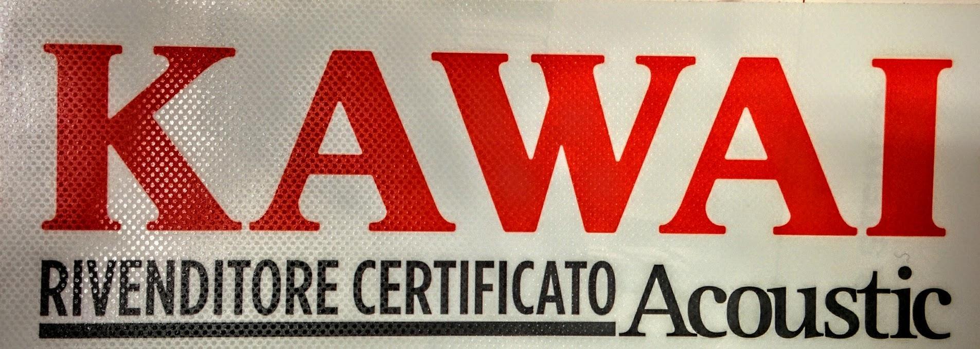 LA PREPARAZIONE DI UN PIANOFORTE