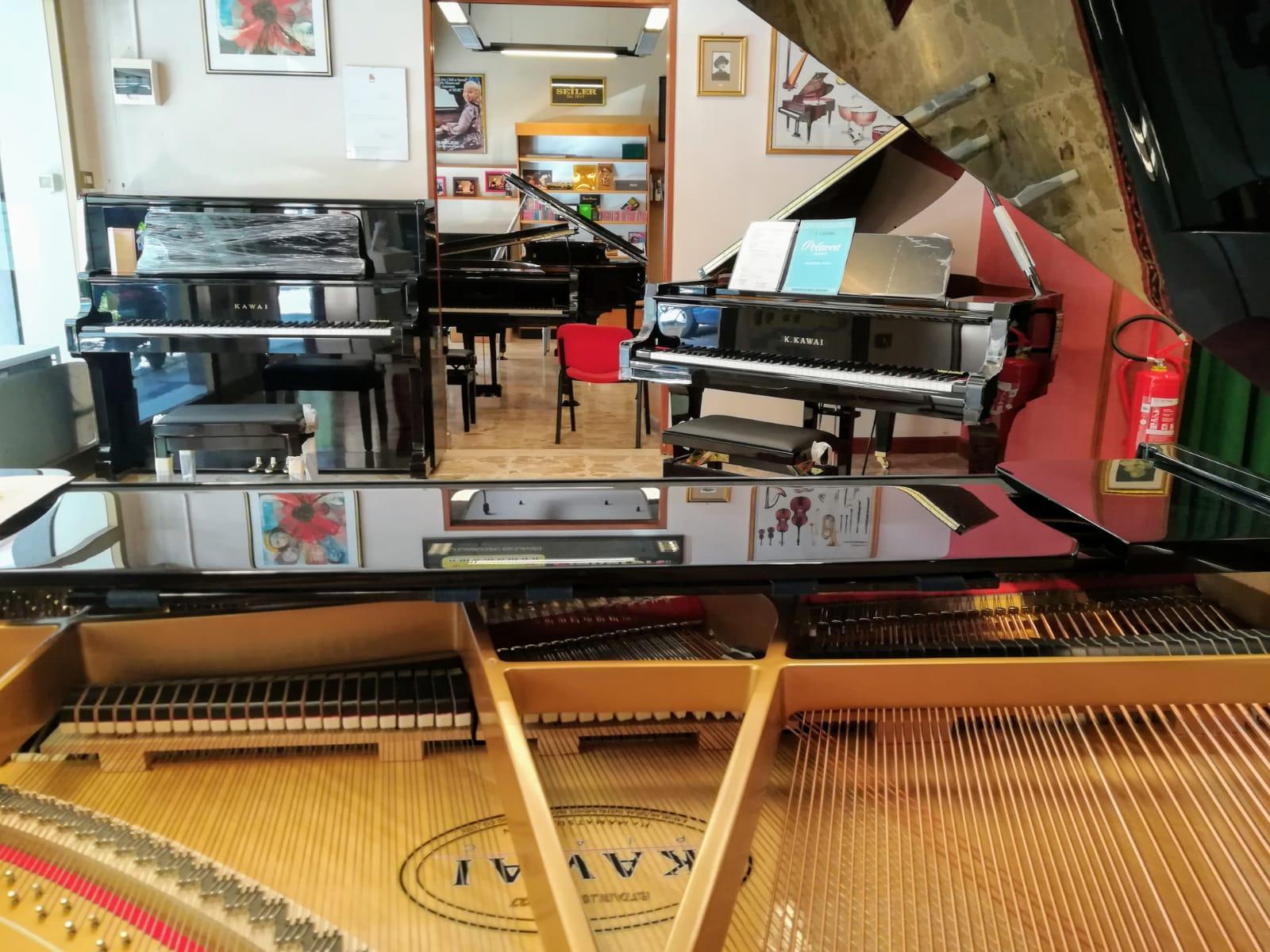 IL PIANOFORTE