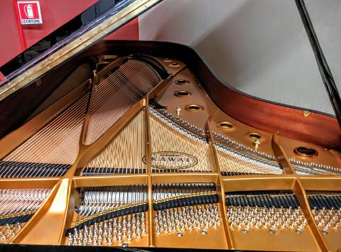 IL PIANOFORTE