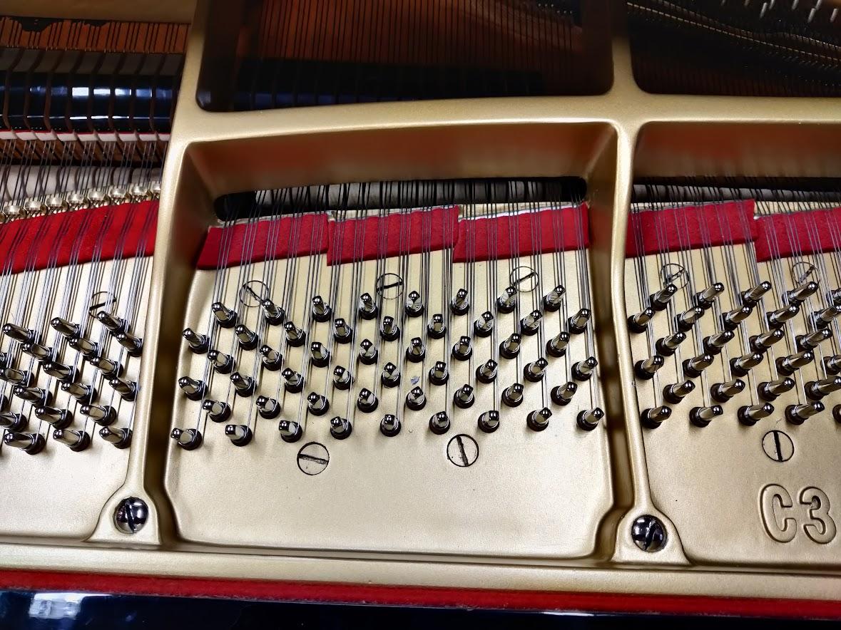 NUOVO ARRIVO PARI AL NUOVO YAMAHA C 3