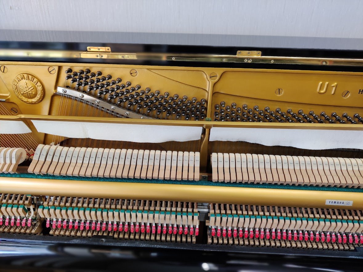 OCCASIONE NUOVO ARRIVO YAMAHA U 1  con sistema SILENT