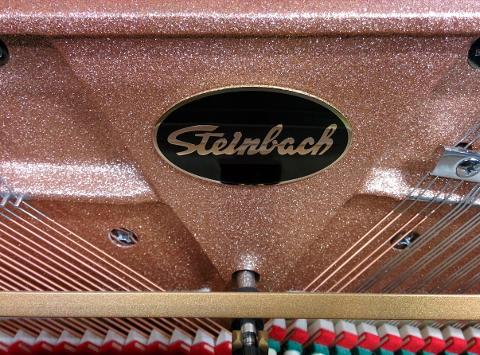 NUOVO PIANOFORTE VERTICALE STEINBACH 118