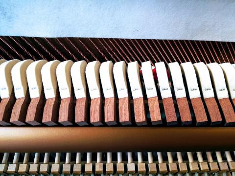 NUOVO PIANOFORTE VERTICALE RITMULLER RS 130