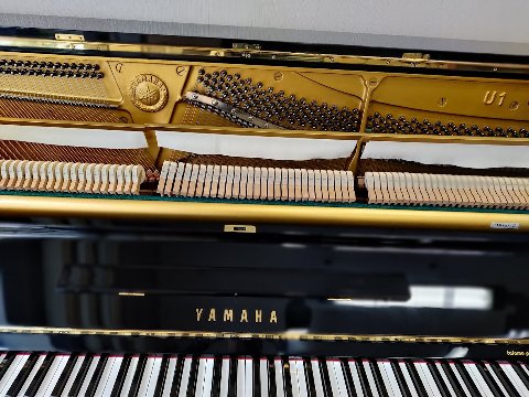 OCCASIONE NUOVO ARRIVO YAMAHA U 1  con sistema SILENT