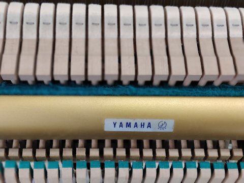 OCCASIONE NUOVO ARRIVO YAMAHA U 1  con sistema SILENT
