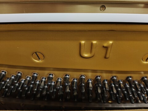 YAMAHA U 1 YAMAHA U1