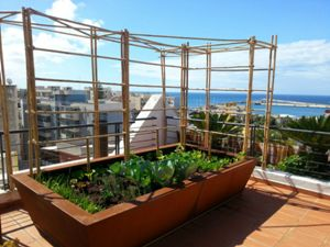 FIORIERE IN CORTEN