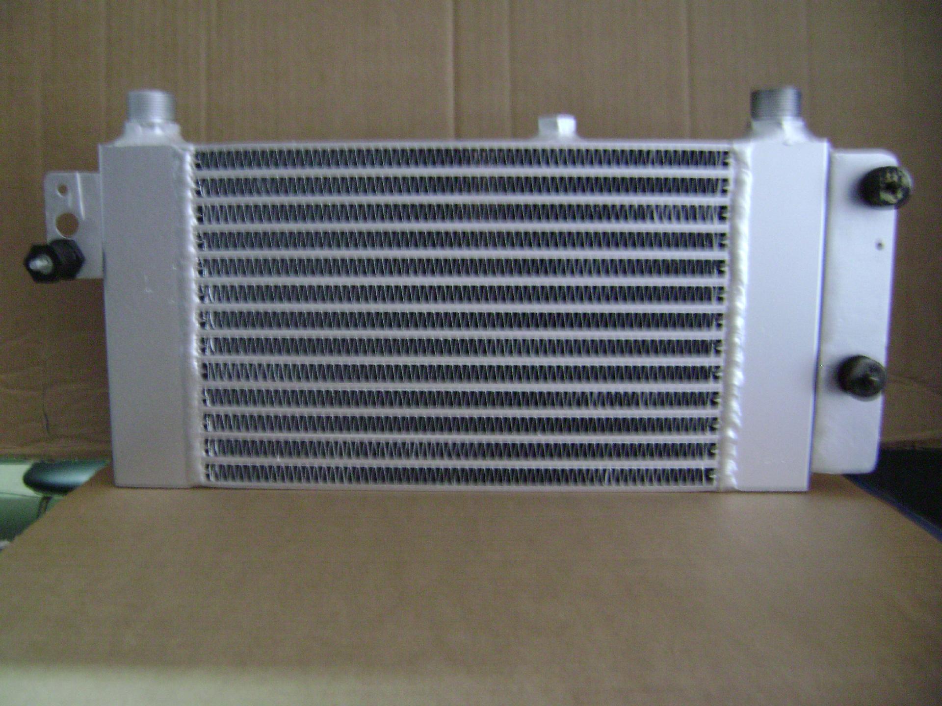 Costruzione Radiatore olio FERRARI T 308