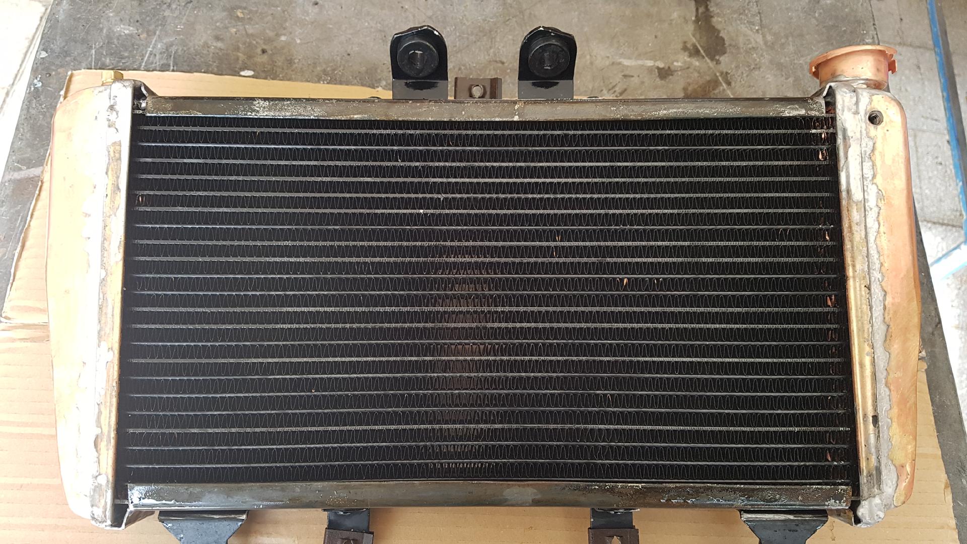 RADIATORE ACQUA Triumph  1050