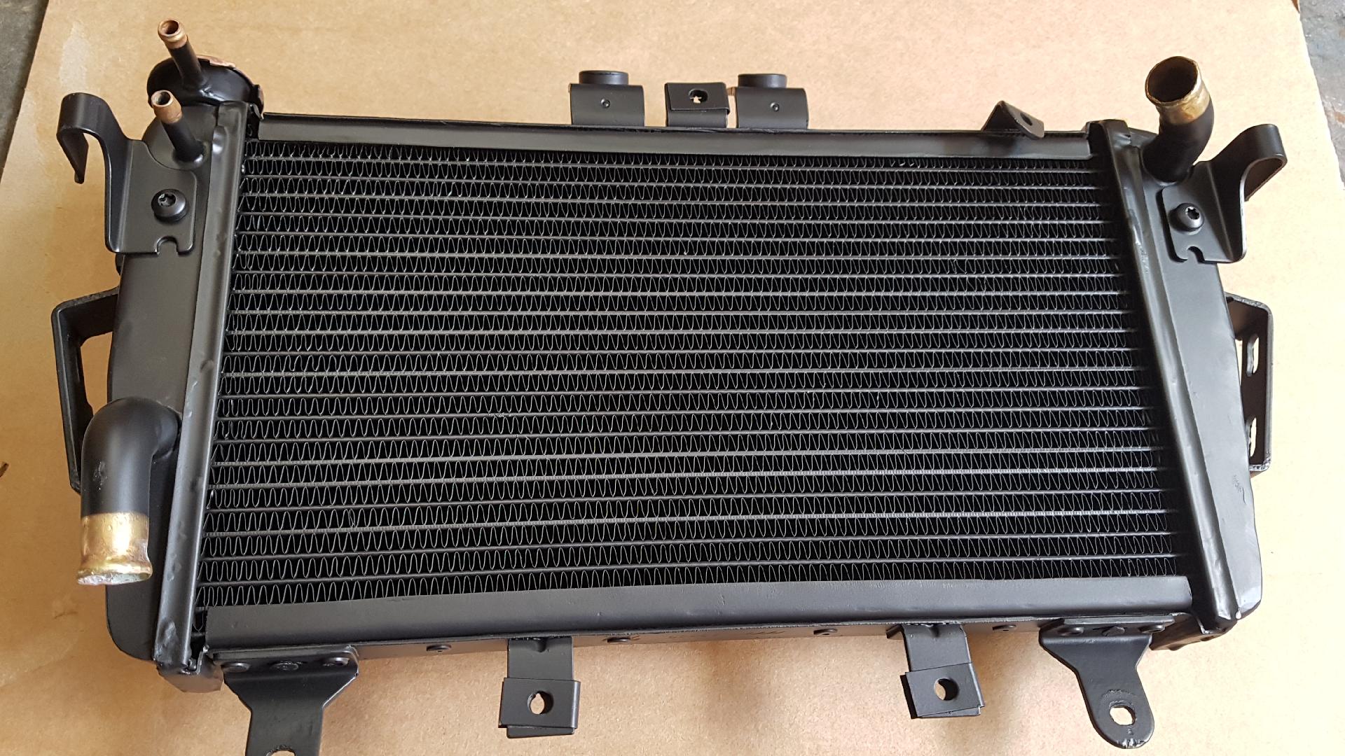 RADIATORE ACQUA Triumph  1050