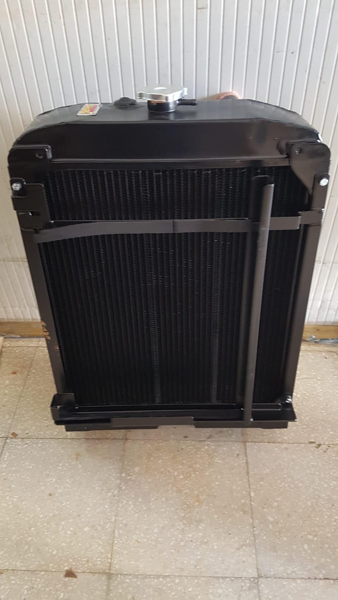 RADIATORE ACQUA LANDINI ALPINE 85