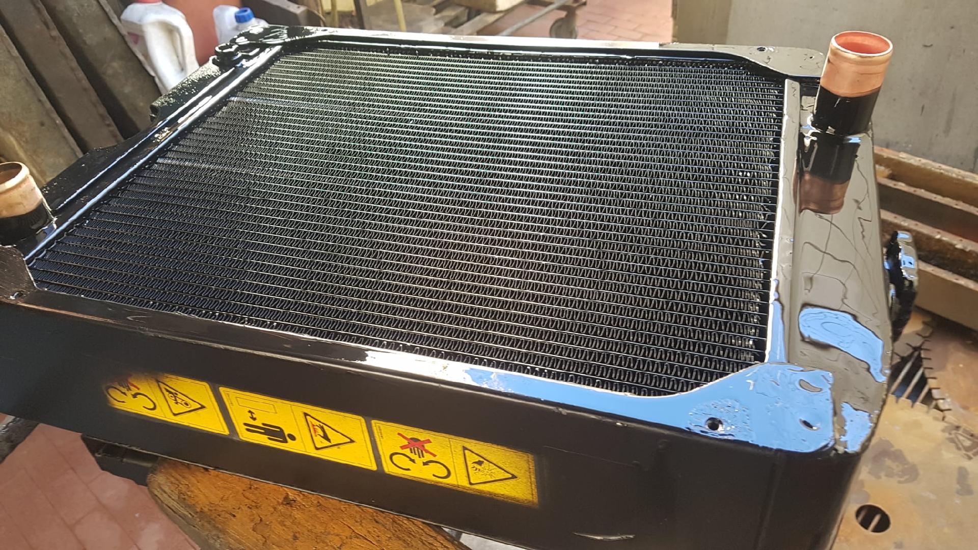 RADIATORE ACQUA LANDINI ALPINE 85