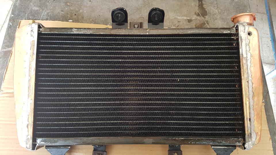RADIATORE ACQUA Triumph  1050