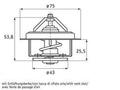 TERMOSTATO REFRIGGERANTE IVECO DAILY