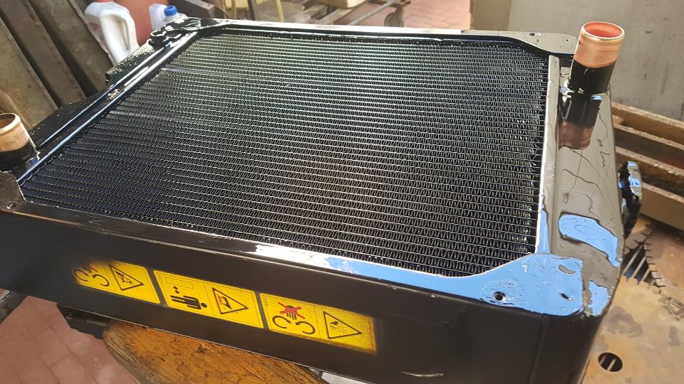 RADIATORE ACQUA LANDINI ALPINE 85