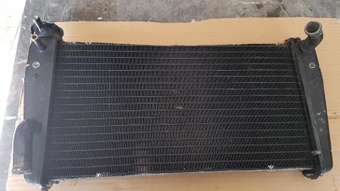 RADIATORE ACQUA Triumph  1050
