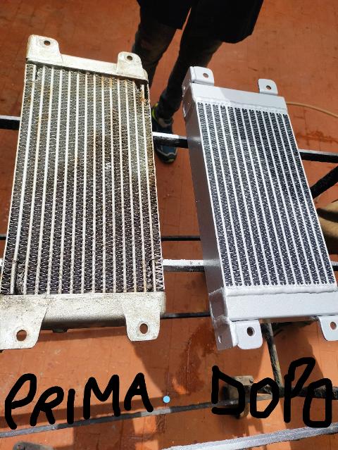 RADIATORE OLIO SAME TRATTORE EXPLOR 105 Prima Serie  DAUZER AGROFARY 420 TB