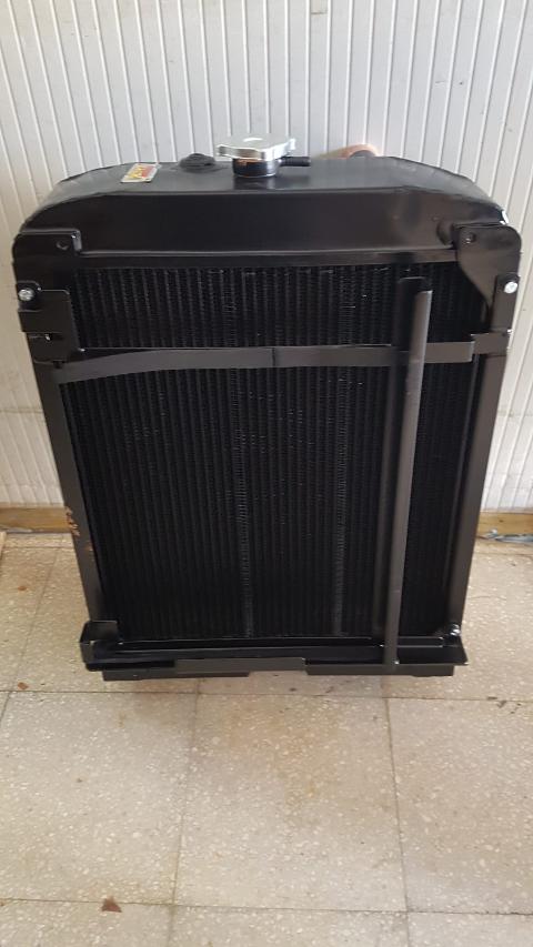 RADIATORE ACQUA LANDINI ALPINE 85