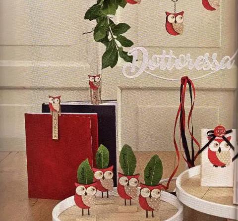 LAUREA E DIPLOMA - Sacchetti, Scatole, Decori e Regali