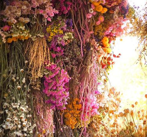 MUSCHIO E FIORI SECCHI - Cortecce - Licheni - Foglie - Erbe  Rami - Canne - Esotico