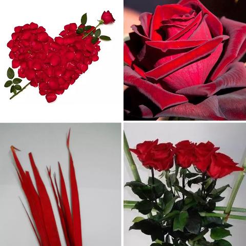 Composizioni Floreali per San Valentino