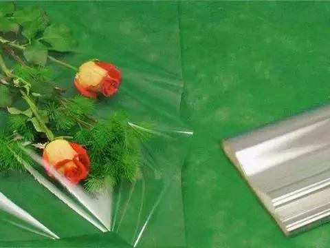 Fogli cellofan neutri e stampati per fioristi