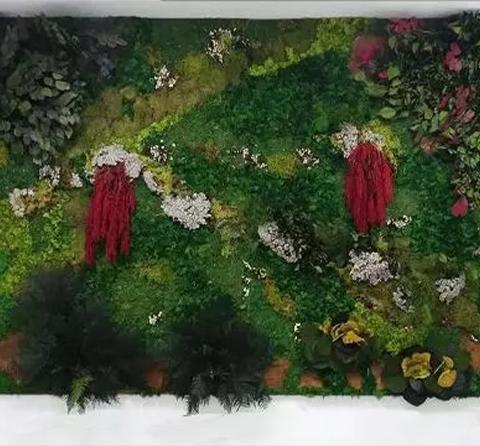 Giardino Verticale Naturale Preservato  - adatto per interni