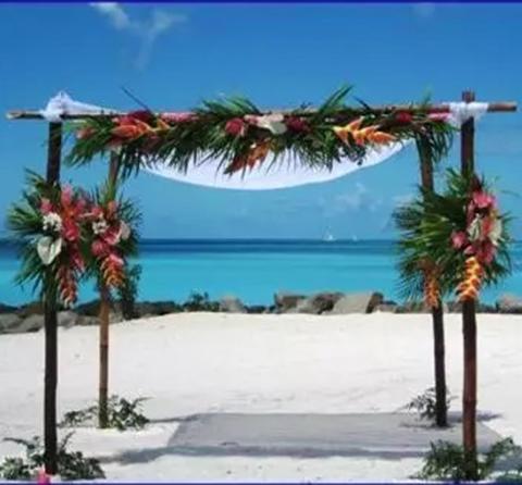 Allestimento Wedding Caraibi
