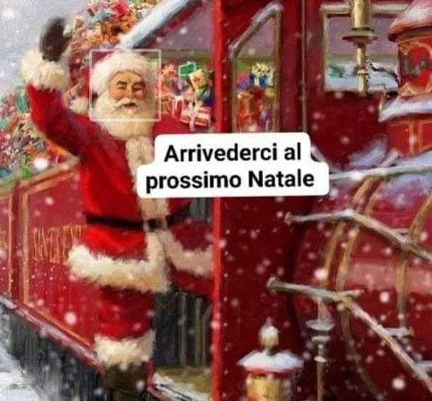 NATALE 2025 -  AlberiI - Luci - Fiori artificiali - Palline e Decori diversi