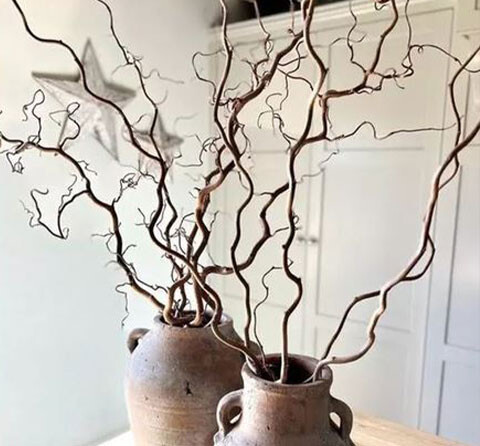 RAMI CONTORTI