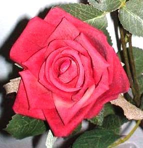 Rose Royal x 3 Velvet Artificiale in poliestere - Sconti per Fioristi e Aziende .