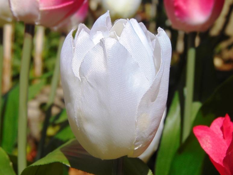 Tulipano Olandese Artificiale H 40 in poliestere - Sconti per Fioristi e Aziende .