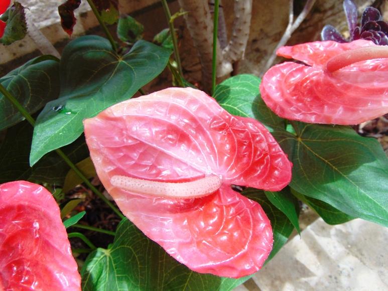 Anturium plant x 2 Artificiale - Sconti per Fioristi e Aziende - in poliestere