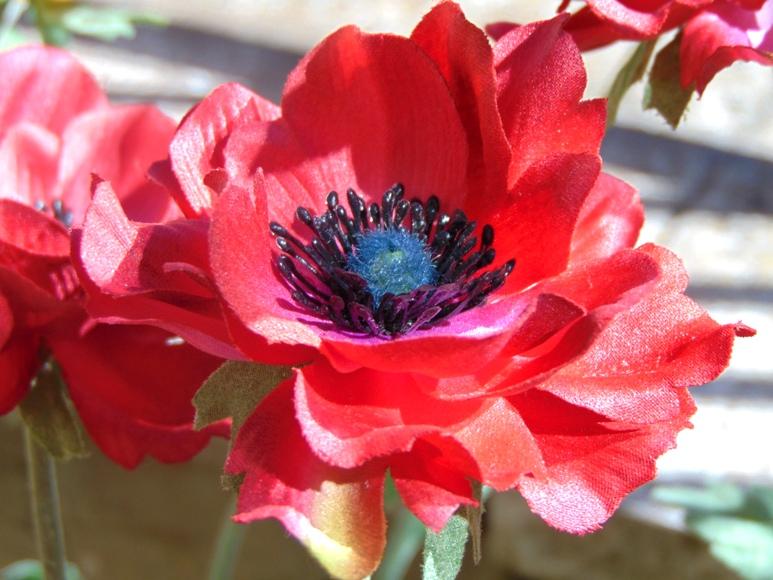 Anemoni spray x 2 H 56 in poliestere - Sconti per Fioristi e Aziende .