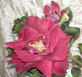 Magnolia & Rose x 2 velluto  - Sconti per Fioristi e Aziende -Bordeaux con bocciolo